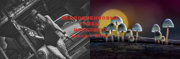 a pvp Михайлов