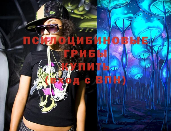 индика Михайловка