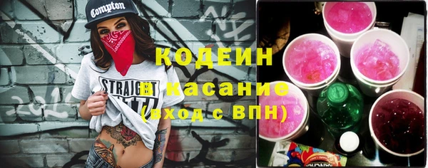 индика Михайловка