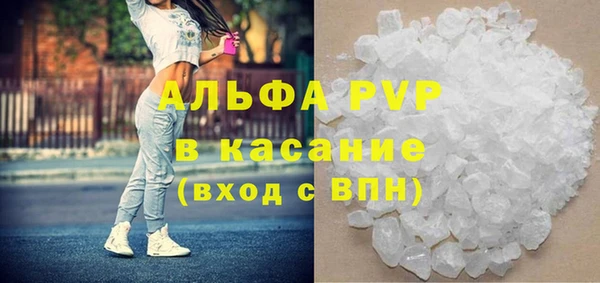 индика Михайловка