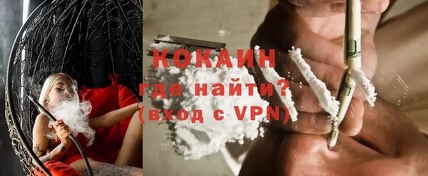 индика Михайловка