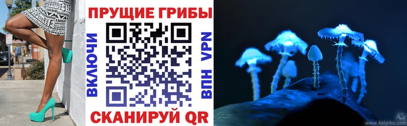 Галлюциногенные грибы GOLDEN TEACHER  купить наркотики сайты  Новодвинск 