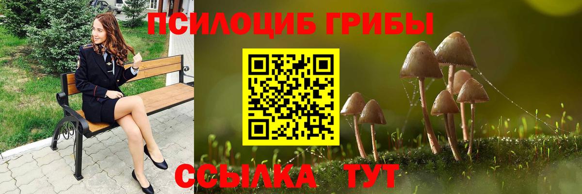 Новодвинск  Псилоцибиновые грибы Psilocybine cubensis  Галлюциногенные грибы GOLDEN TEACHER  Вход с VPN 