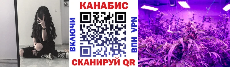 хочу наркоту  Новодвинск  Каннабис семена 